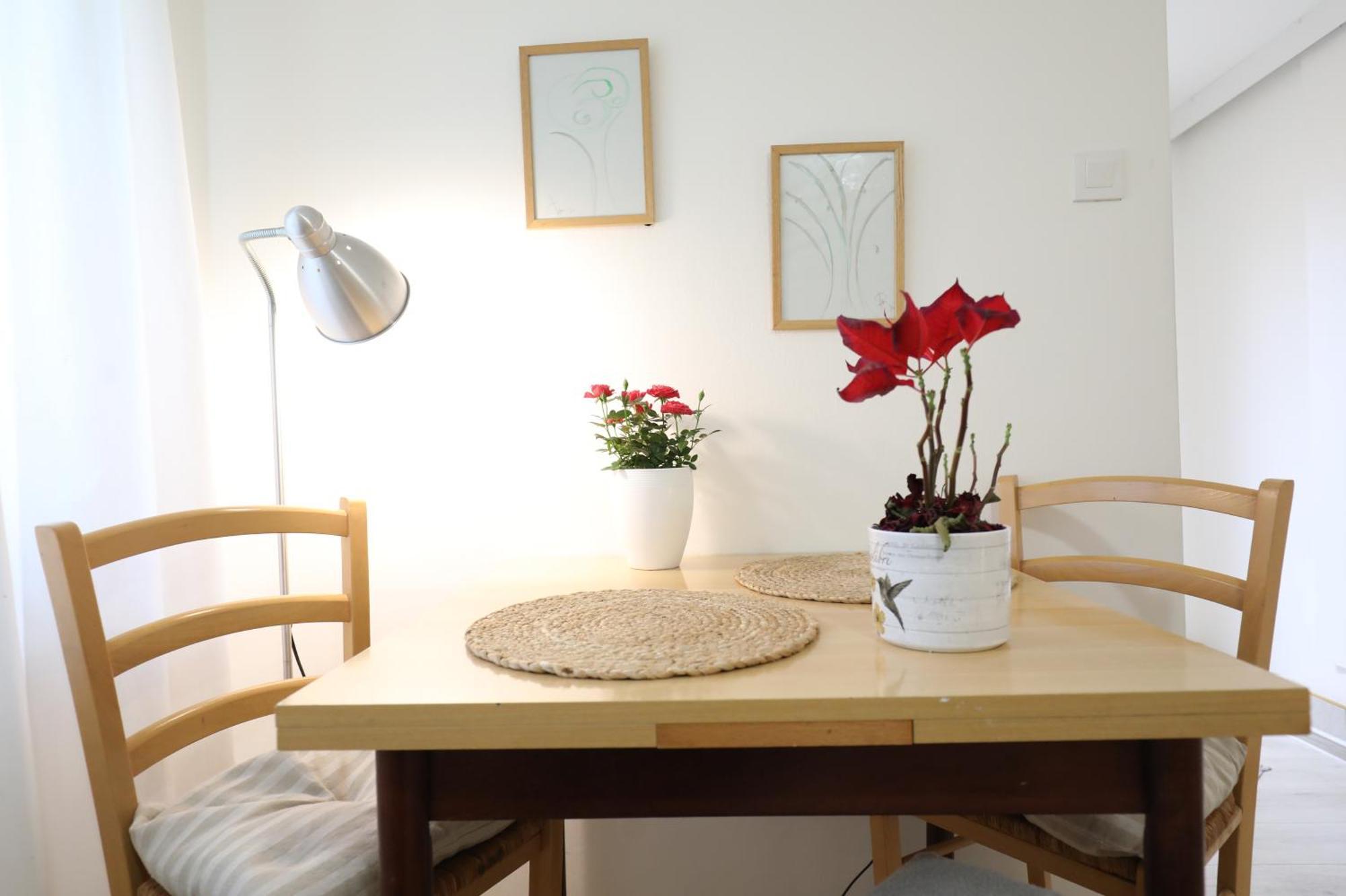 Apartment Mir 普拉 外观 照片